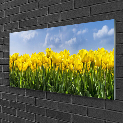 Glasbild aus Plexiglas® Tulpen Pflanzen