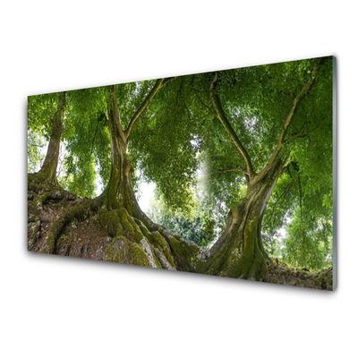 Glasbild aus Plexiglas® Bäume Natur