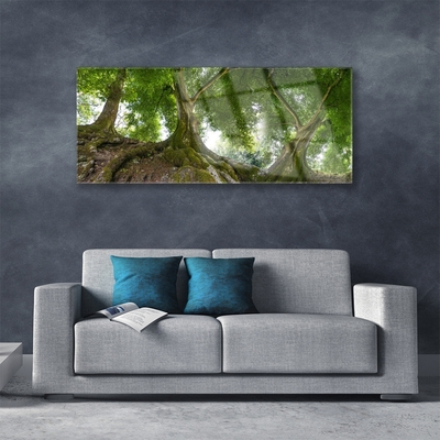 Glasbild aus Plexiglas® Bäume Natur