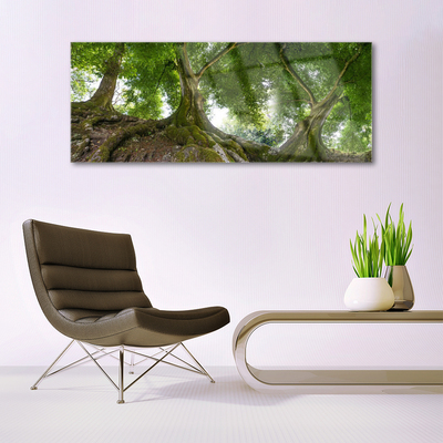 Glasbild aus Plexiglas® Bäume Natur