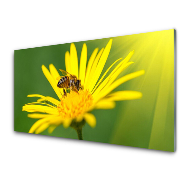 Glasbild aus Plexiglas® Wespe Blume Pflanzen