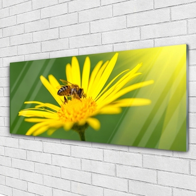 Glasbild aus Plexiglas® Wespe Blume Pflanzen