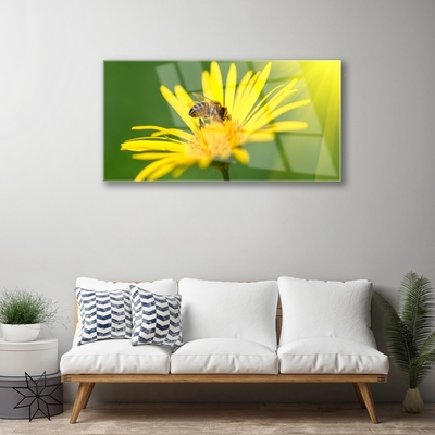 Glasbild aus Plexiglas® Wespe Blume Pflanzen