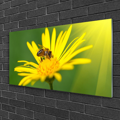 Glasbild aus Plexiglas® Wespe Blume Pflanzen