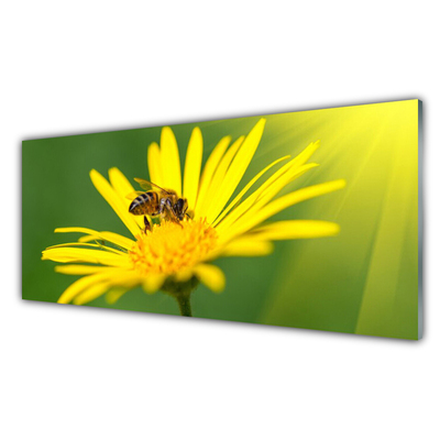 Glasbild aus Plexiglas® Wespe Blume Pflanzen