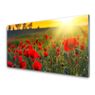 Glasbild aus Plexiglas® Wiese Blumen Natur