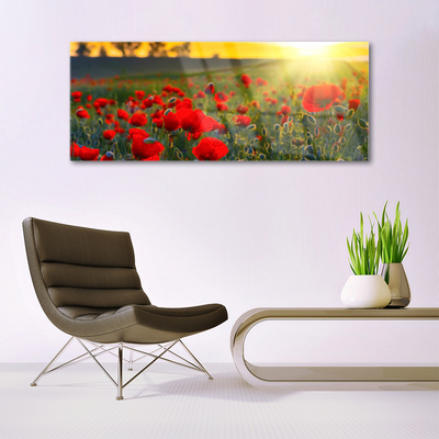 Glasbild aus Plexiglas® Wiese Blumen Natur