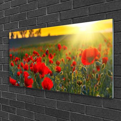 Glasbild aus Plexiglas® Wiese Blumen Natur