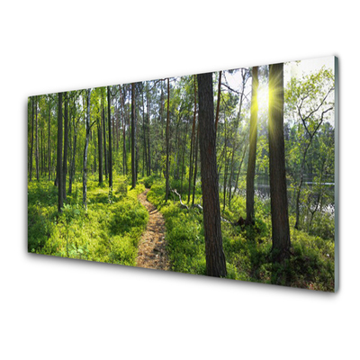 Glasbild aus Plexiglas® Wald Natur