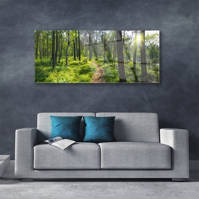 Glasbild aus Plexiglas® Wald Natur