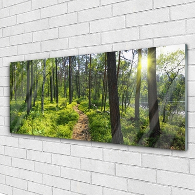 Glasbild aus Plexiglas® Wald Natur