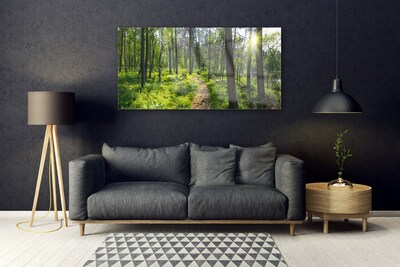 Glasbild aus Plexiglas® Wald Natur