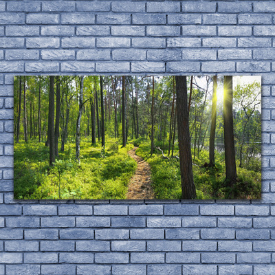 Glasbild aus Plexiglas® Wald Natur