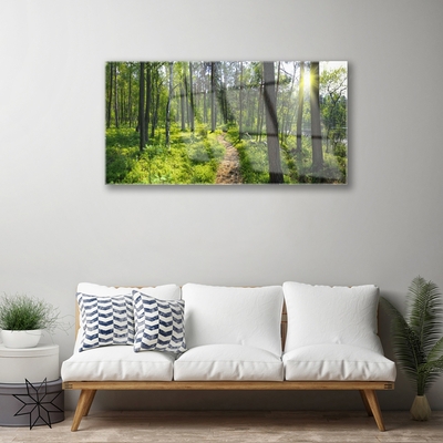 Glasbild aus Plexiglas® Wald Natur