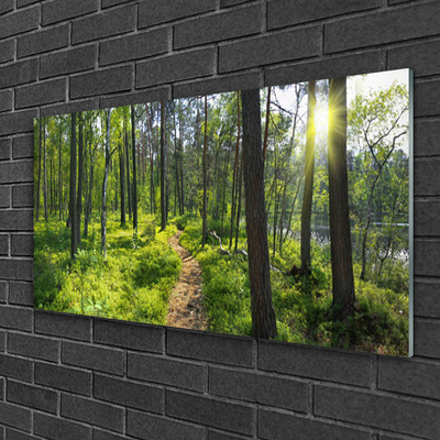 Glasbild aus Plexiglas® Wald Natur