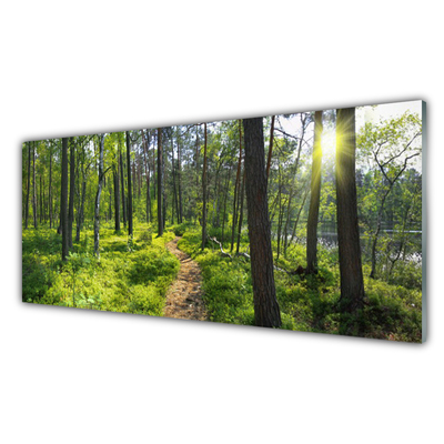 Glasbild aus Plexiglas® Wald Natur