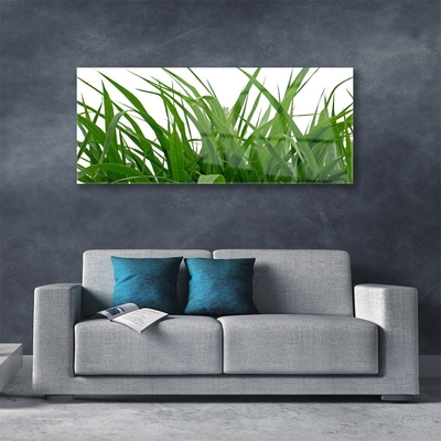 Glasbild aus Plexiglas® Gras Natur