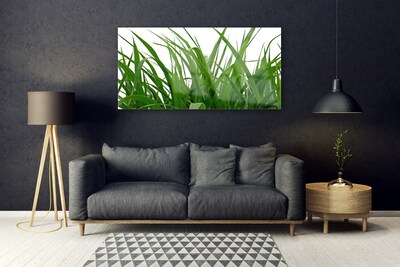 Glasbild aus Plexiglas® Gras Natur