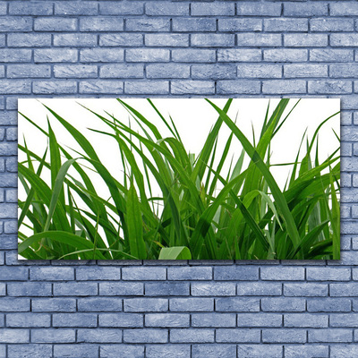 Glasbild aus Plexiglas® Gras Natur