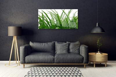 Glasbild aus Plexiglas® Gras Natur