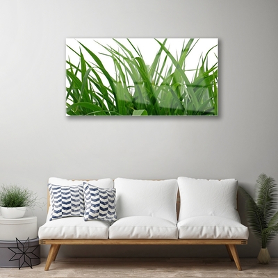 Glasbild aus Plexiglas® Gras Natur