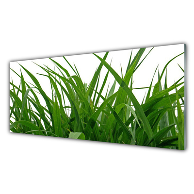 Glasbild aus Plexiglas® Gras Natur