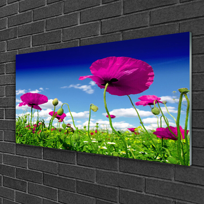 Glasbild aus Plexiglas® Wiese Blumen Natur