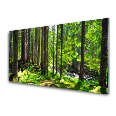 Glasbild aus Plexiglas® Wald Natur