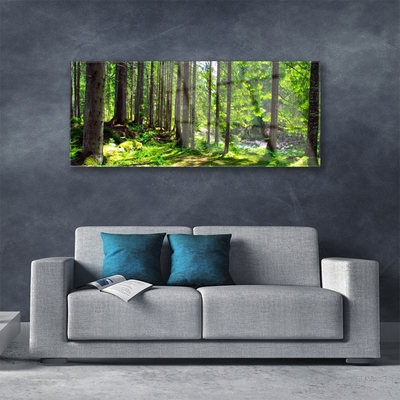 Glasbild aus Plexiglas® Wald Natur