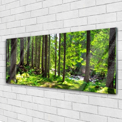 Glasbild aus Plexiglas® Wald Natur