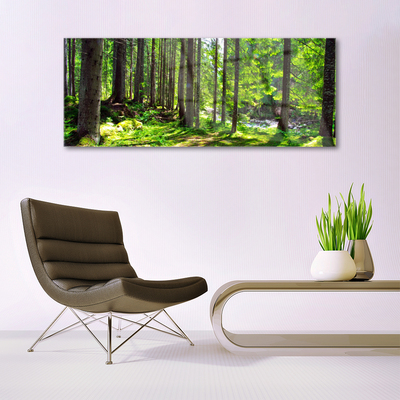 Glasbild aus Plexiglas® Wald Natur