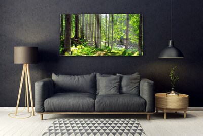 Glasbild aus Plexiglas® Wald Natur