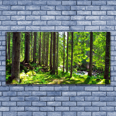 Glasbild aus Plexiglas® Wald Natur