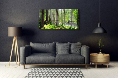 Glasbild aus Plexiglas® Wald Natur