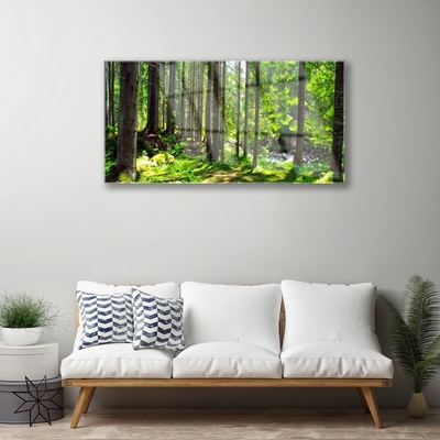 Glasbild aus Plexiglas® Wald Natur