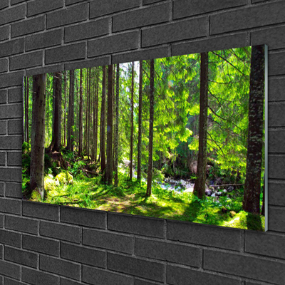 Glasbild aus Plexiglas® Wald Natur