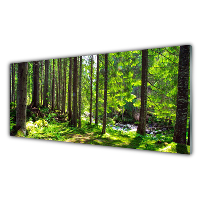 Glasbild aus Plexiglas® Wald Natur