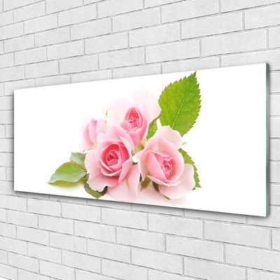 Glasbild aus Plexiglas® Rosen Pflanzen