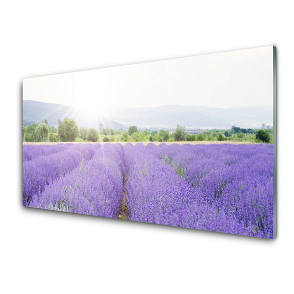 Glasbild aus Plexiglas® Wiese Blumen Natur