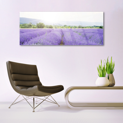 Glasbild aus Plexiglas® Wiese Blumen Natur