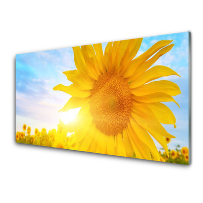 Glasbild aus Plexiglas® Sonnenblume Pflanzen