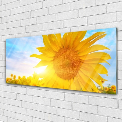 Glasbild aus Plexiglas® Sonnenblume Pflanzen