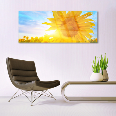 Glasbild aus Plexiglas® Sonnenblume Pflanzen