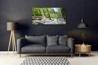 Glasbild aus Plexiglas® Wald Brücke See Steine Landschaft