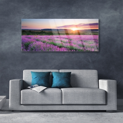 Glasbild aus Plexiglas® Sonne Wiese Blumen Natur