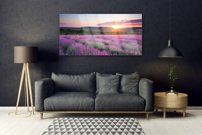 Glasbild aus Plexiglas® Sonne Wiese Blumen Natur