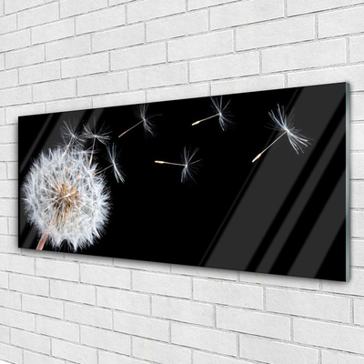 Glasbild aus Plexiglas® Pusteblume Pflanzen