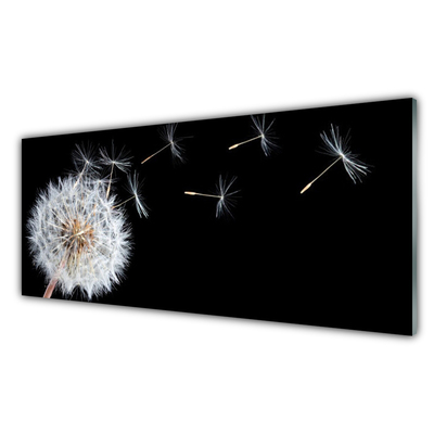 Glasbild aus Plexiglas® Pusteblume Pflanzen