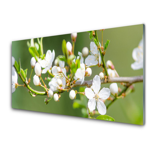 Glasbild aus Plexiglas® Zweige Blumen Pflanzen