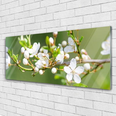 Glasbild aus Plexiglas® Zweige Blumen Pflanzen